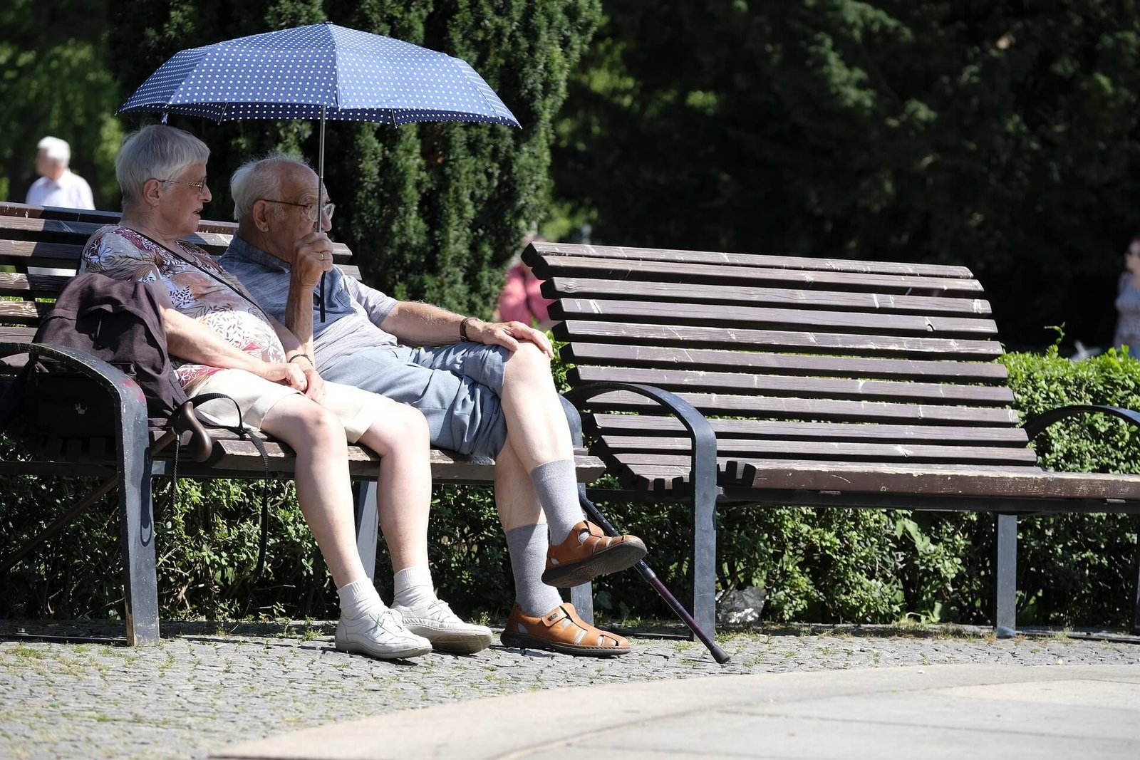 Elderly couple sitting on a park bench